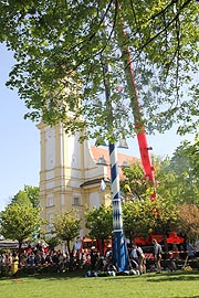 Maibaum aufstellen 2012 in Perlach (Foto: Martin Schmitz)